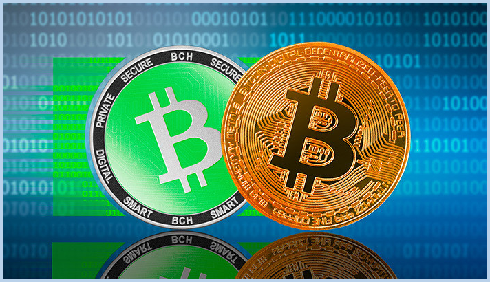 Bitcoin Vs Bitcoin Cash A Comparison Of The Top Cryptocurrencies